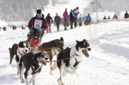 Lenk 2012 SM